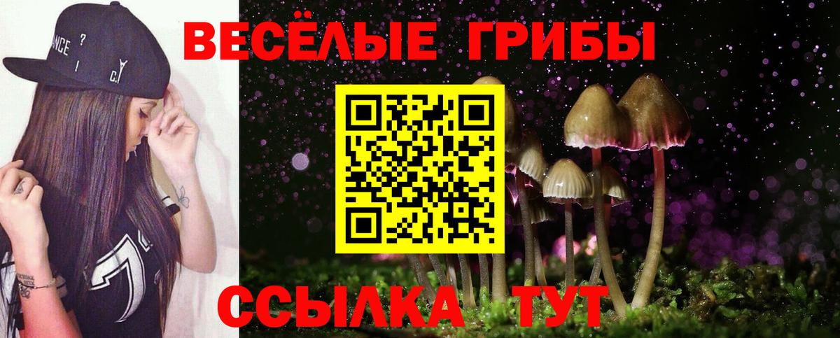 Галлюциногенные грибы GOLDEN TEACHER Пятигорск